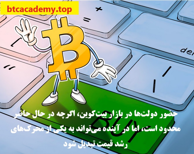 مردم عادی باید قبل از دولت‌ها بیت کوین بخرند!