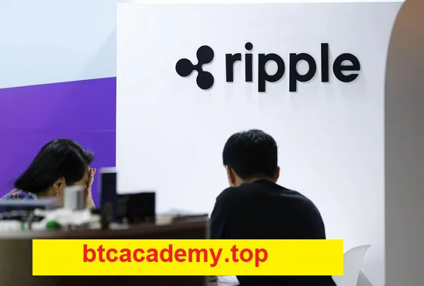 رد پیشنهاد میلیاردی ریپل برای خرید سرکل؛ اوج رقابت در بازار استیبل‌کوین‌ها
